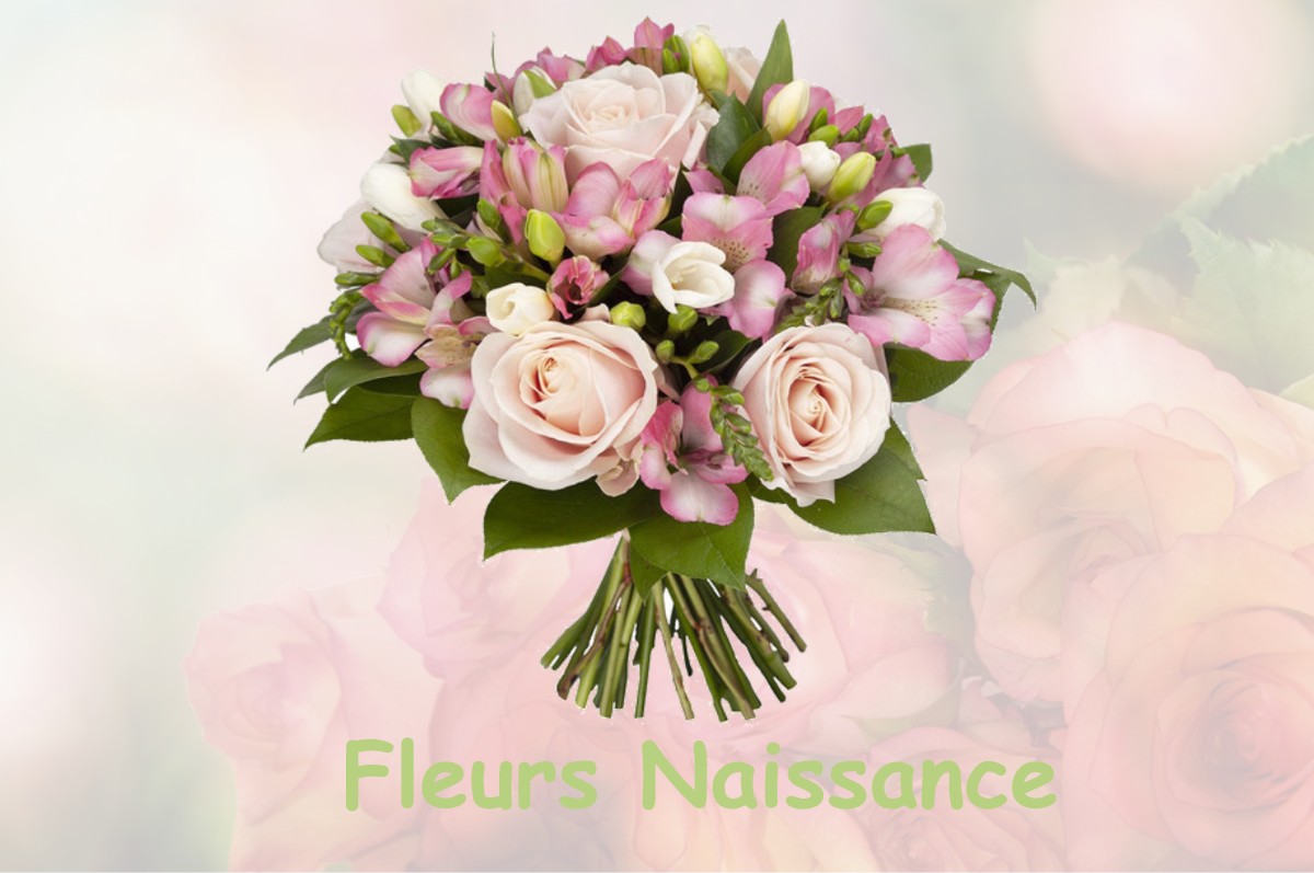 fleurs naissance VARENNES-SUR-USSON